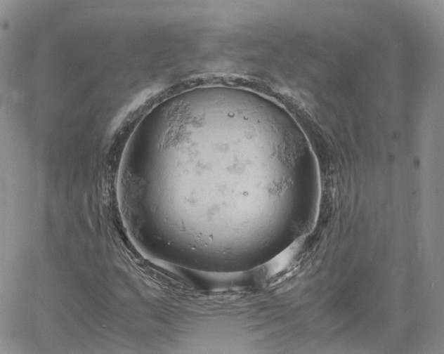 X0000061741159200512091603