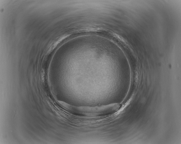 X0000061741161200512091603