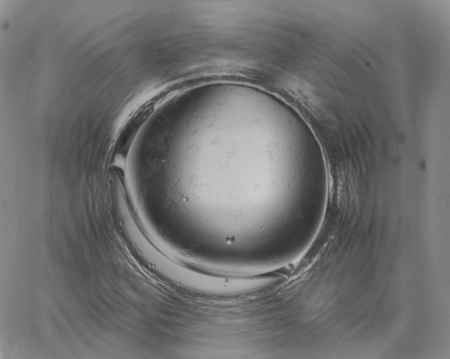 X0000061741164200512091603