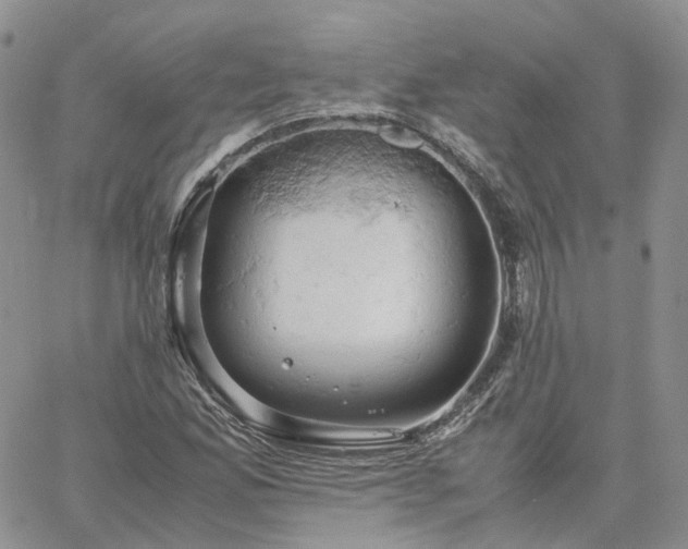 X0000061741165200512091603