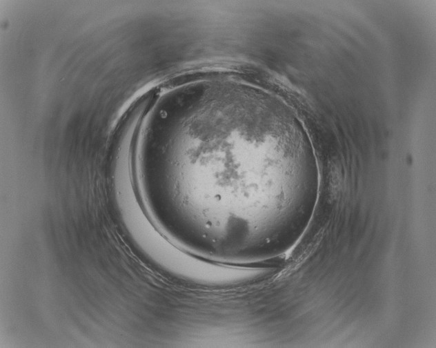 X0000061741166200512091603