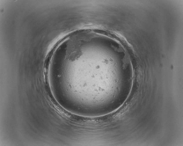 X0000061741167200512091603