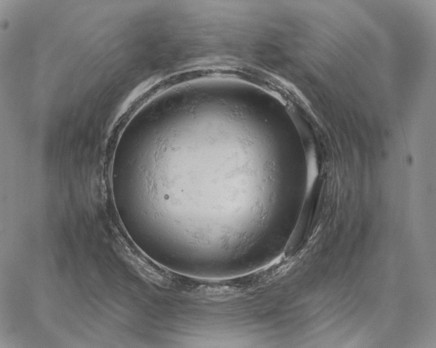 X0000061741168200512091603