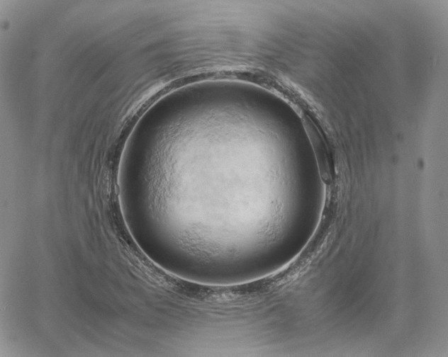 X0000061741169200512091603