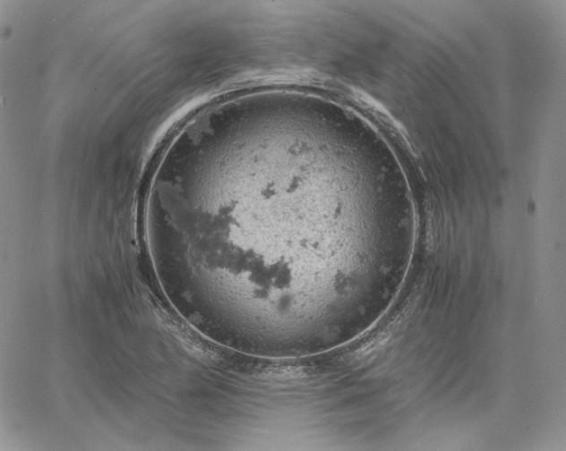 X0000061741174200512091603