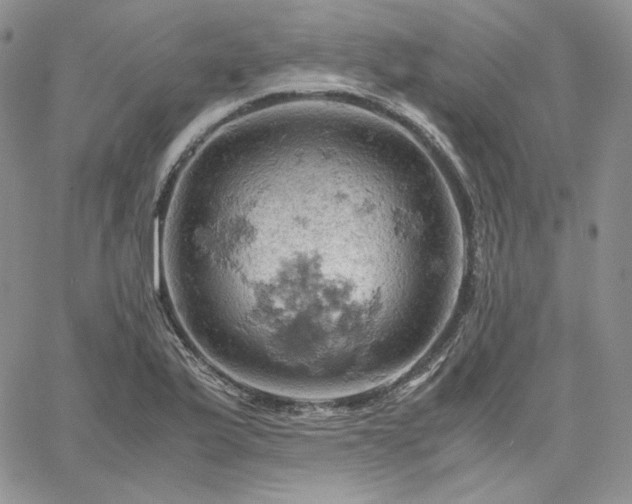 X0000061741175200512091603