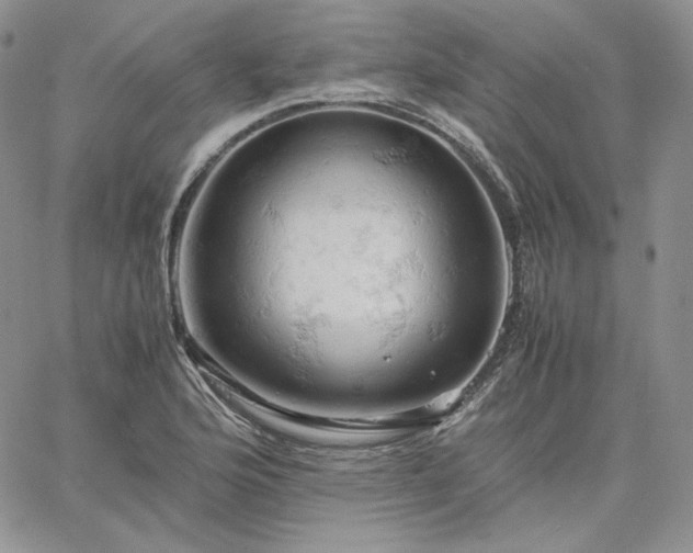 X0000061741176200512091603