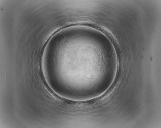 X0000061741177200512091603