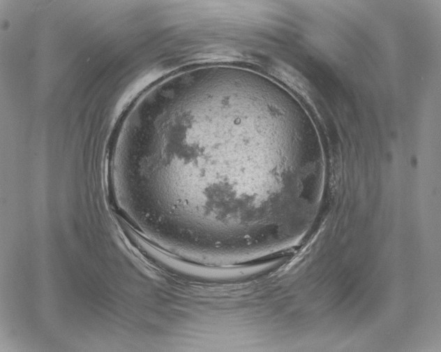 X0000061741179200512091603