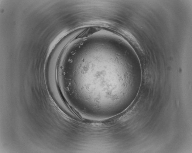 X0000061741180200512091603