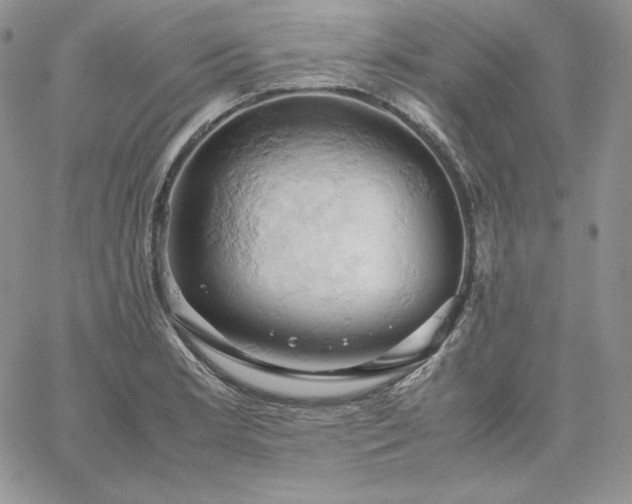 X0000061741181200512091603