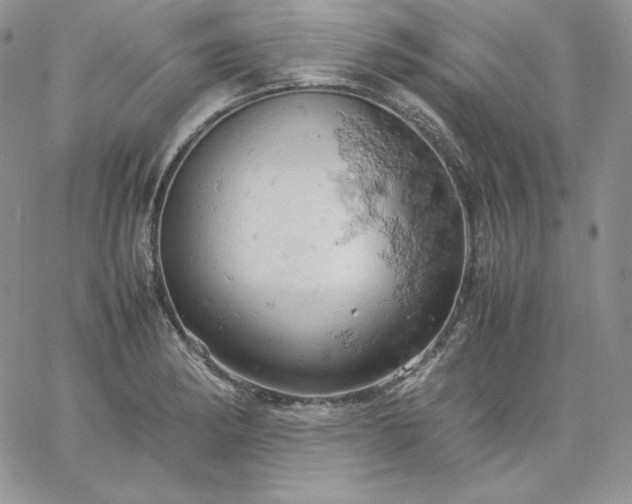 X0000061741182200512091603