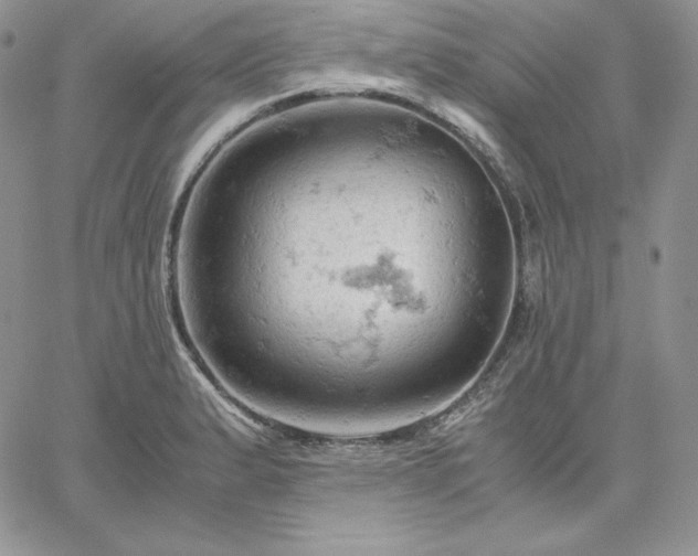 X0000061741183200512091603