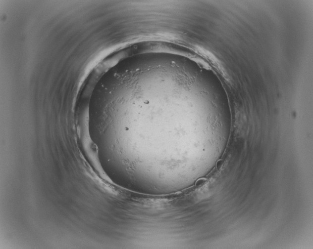 X0000061741184200512091603