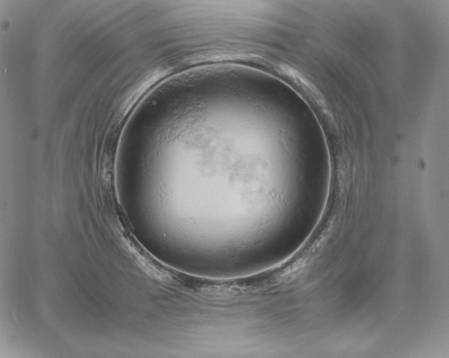 X0000061741185200512091603