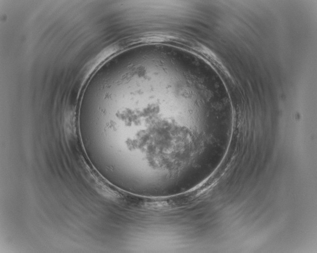 X0000061741186200512091603