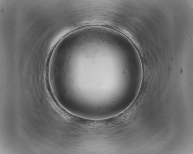 X0000061741187200512091603