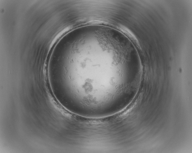 X0000061741190200512091602