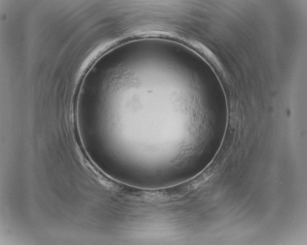 X0000061741191200512091602