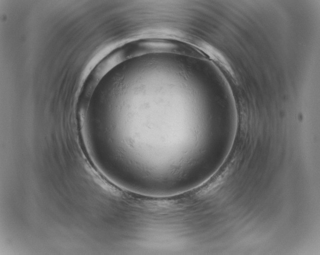 X0000061741192200512091602