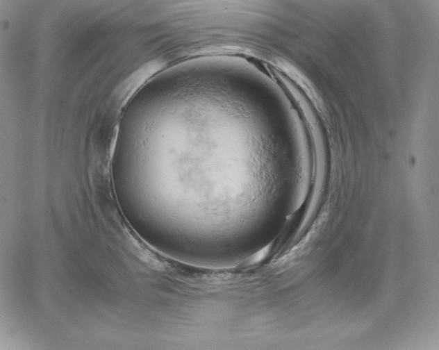 X0000061741193200512091602