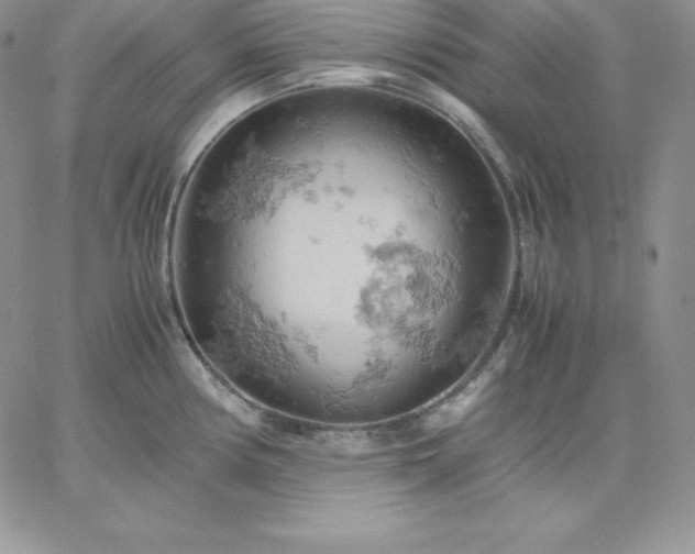 X0000061741194200512091602