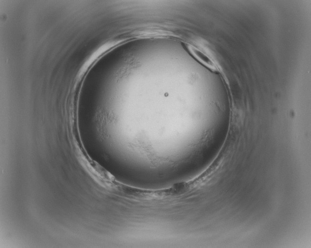 X0000061741195200512091602