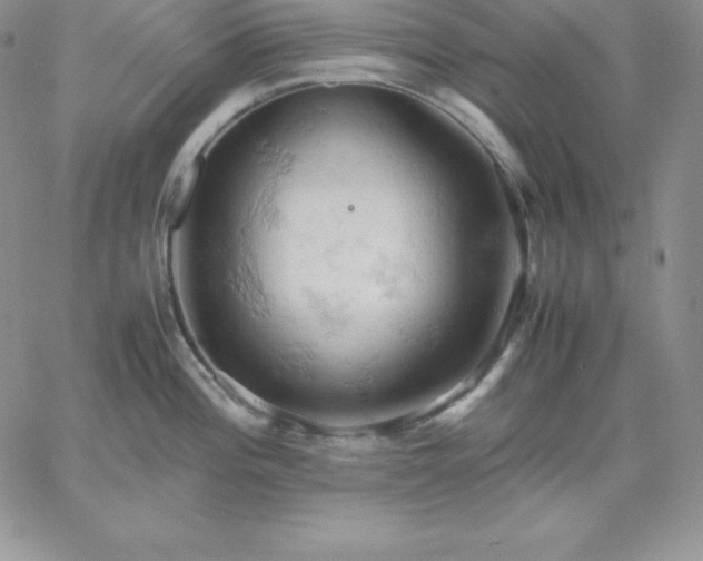 X0000061741196200512091602