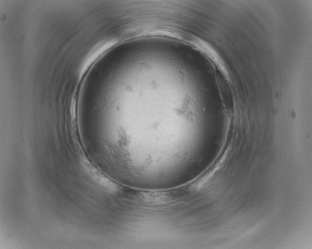 X0000061741198200512091602