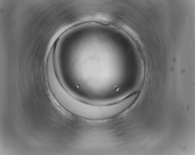 X0000061741200200512091602