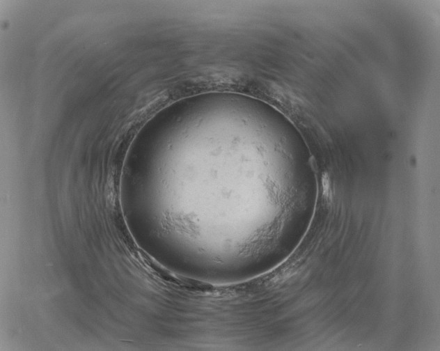 X0000061741203200512091602