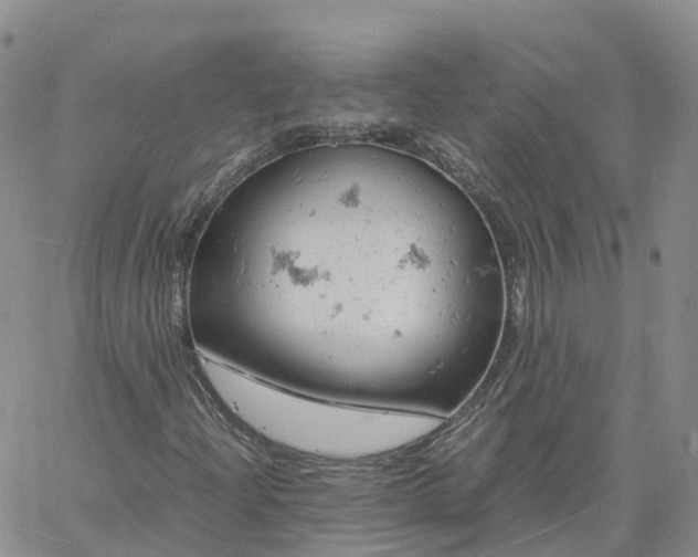 X0000061741204200512091602