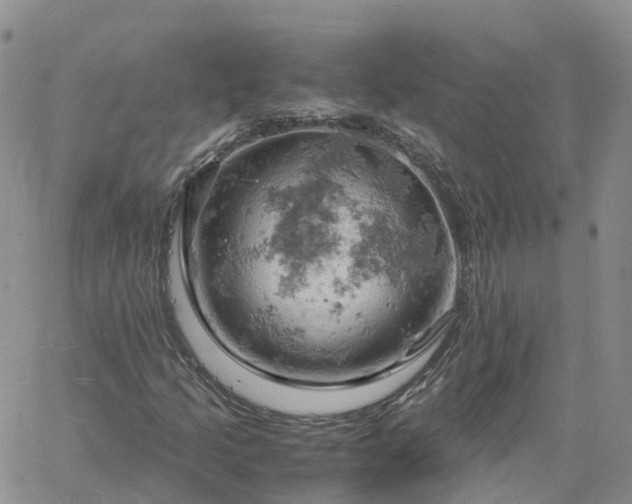 X0000061741205200512091602