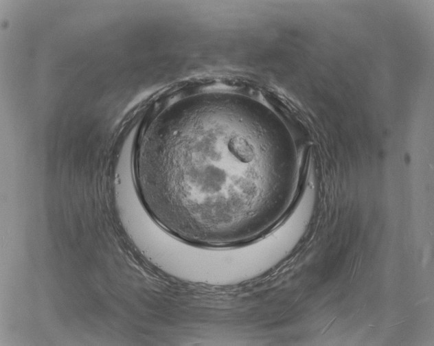 X0000061741206200512091602