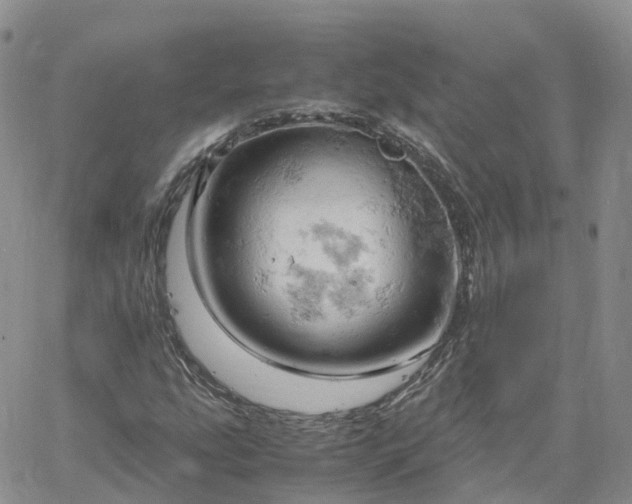 X0000061741207200512091602