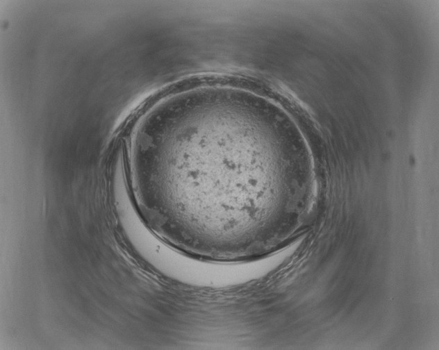 X0000061741208200512091602