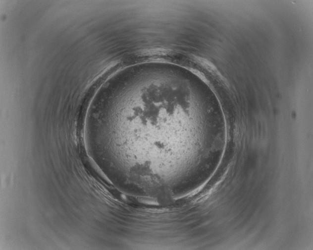 X0000061741209200512091602