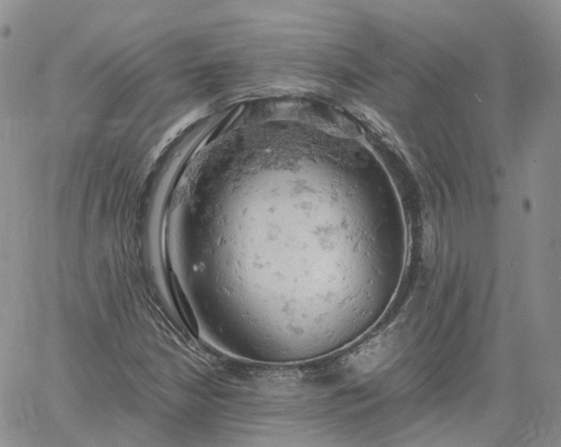 X0000061741210200512091602