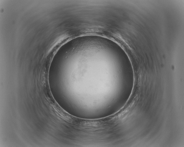 X0000061741211200512091602