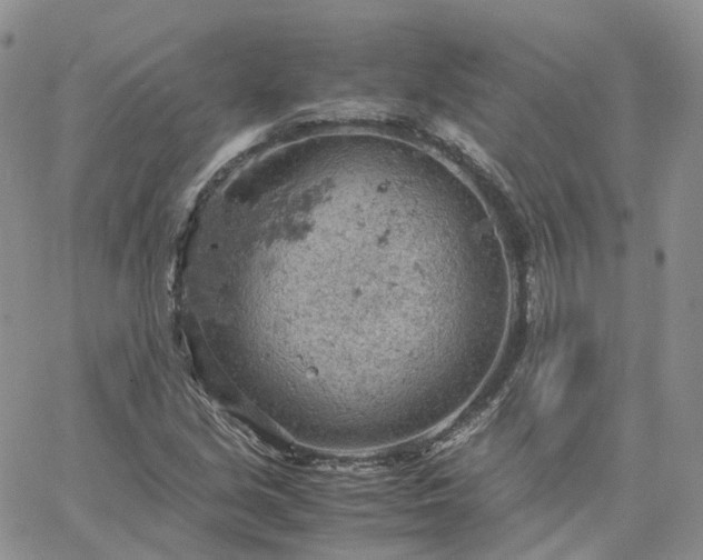 X0000061741213200512091602