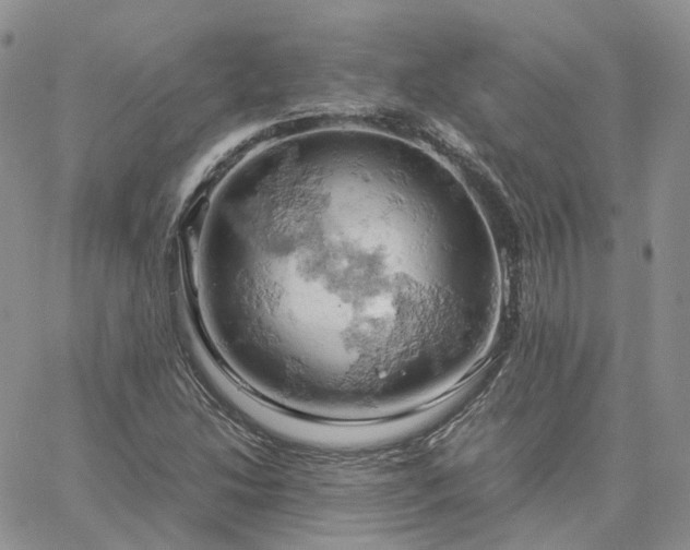 X0000061741214200512091602