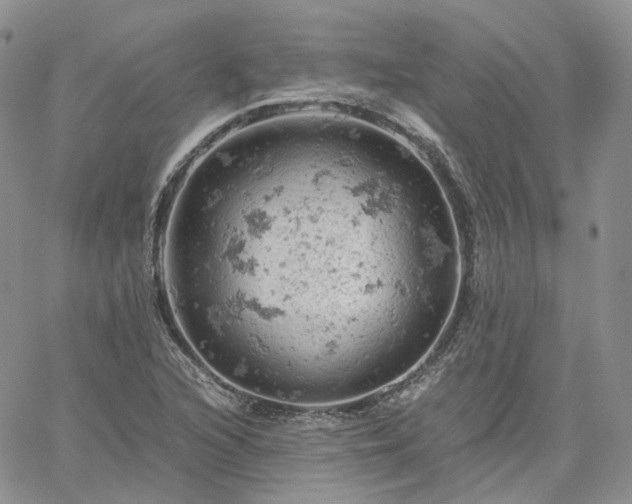 X0000061741216200512091602