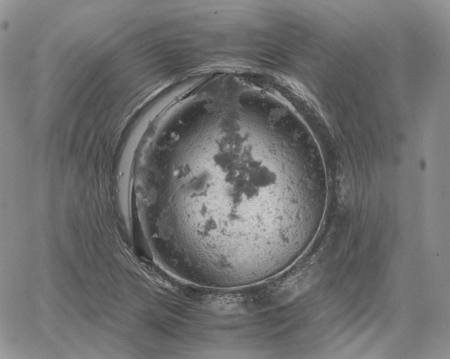 X0000061741217200512091602