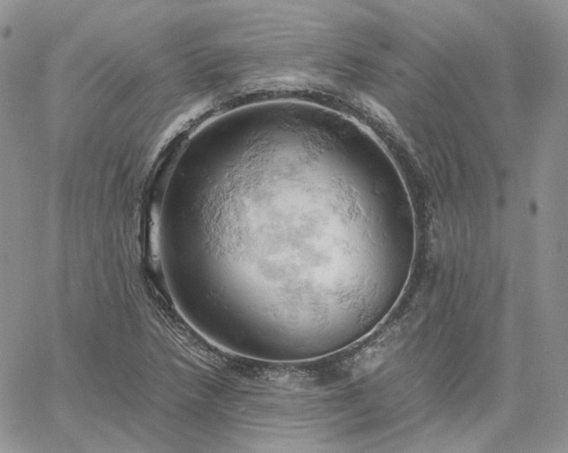 X0000061741218200512091602