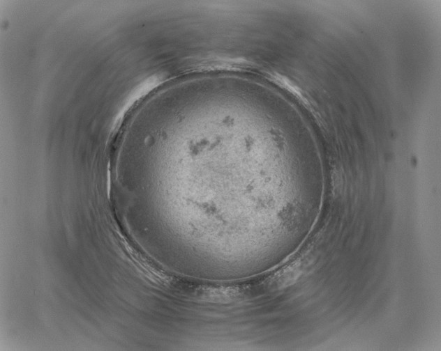 X0000061741219200512091602