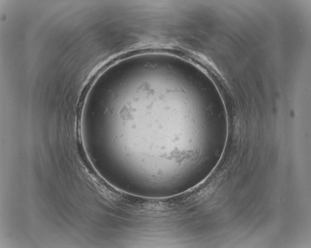 X0000061741220200512091602