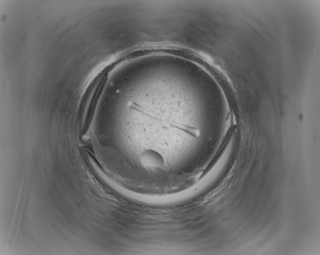 X0000061741221200512091602