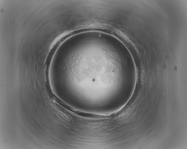 X0000061741222200512091602