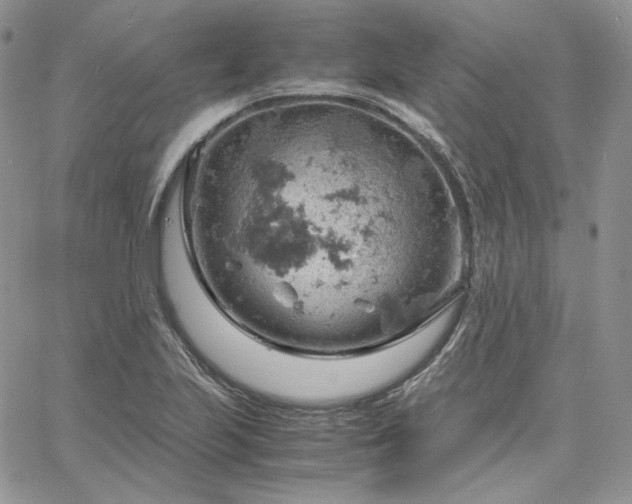 X0000061741223200512091602