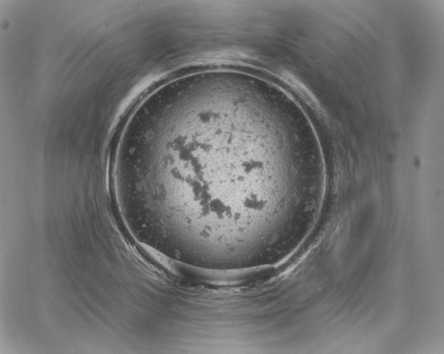 X0000061741224200512091602